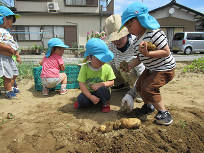 じゃがいも掘り